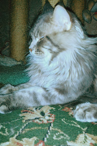 ��� ���� ��� Battle Creek�s O�Zed Zero