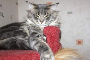 ��� ���� ��� Battle Creek�s O�Zed Zero