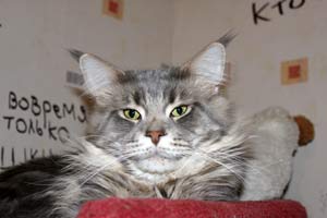 ��� ���� ��� Battle Creek�s O�Zed Zero