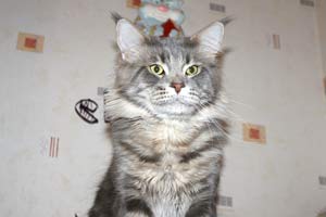 ��� ���� ��� Battle Creek�s O�Zed Zero