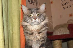 ��� ���� ��� Battle Creek�s O�Zed Zero