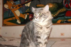 ��� ���� ��� Battle Creek�s O�Zed Zero