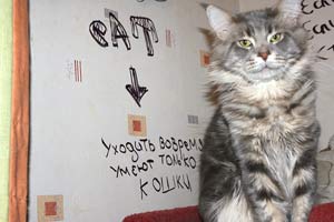 ��� ���� ��� Battle Creek�s O�Zed Zero