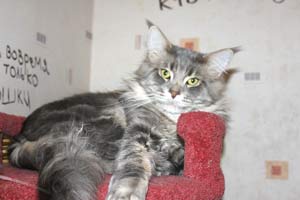 ��� ���� ��� Battle Creek�s O�Zed Zero