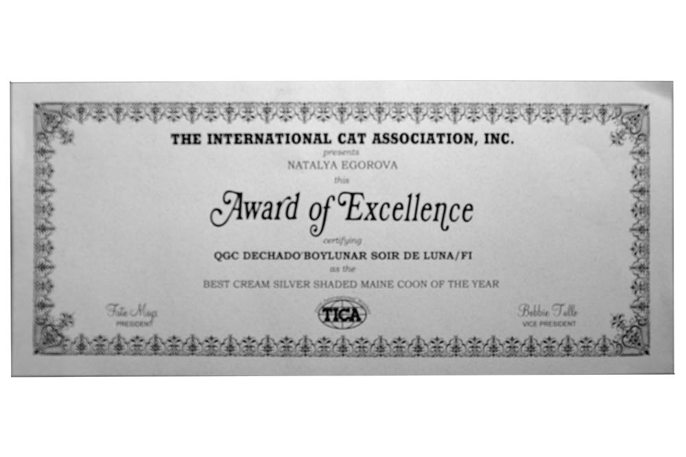 ТИКА клуб Кристалл, выставка кошек 11-12 июня 2016 года в Московском Измайлово