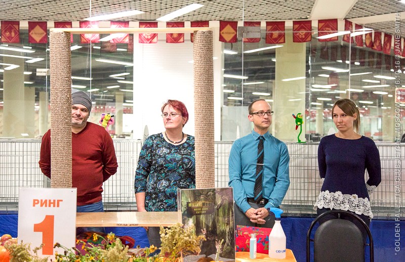 Новый помет в питомнике мейн кунов