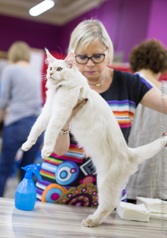 Выставка Зоошоу 2016