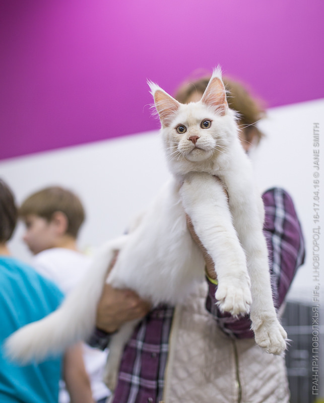 Выставка Зоошоу 2016