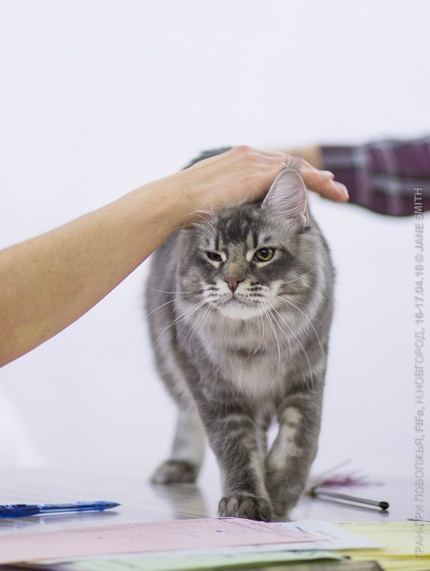 Выставка Зоошоу 2016