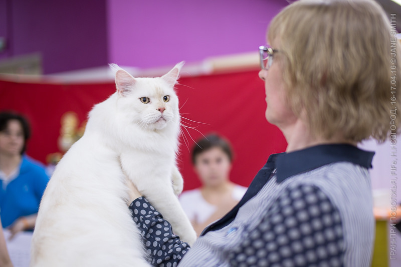 Выставка Зоошоу 2016