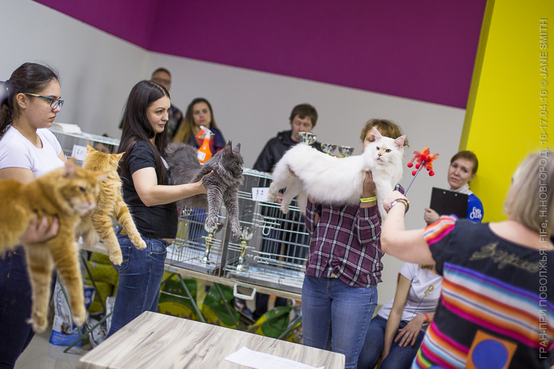 Выставка Зоошоу 2016