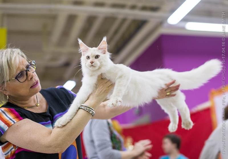 Выставка Зоошоу 2016