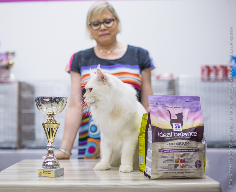 Выставка Зоошоу 2016