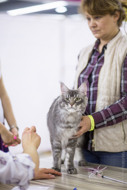 Выставка Зоошоу 2016