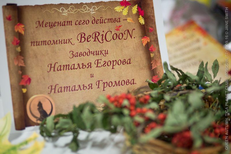 TICA выставка  Королева Осень  Выставка клуба  ПЛАНЕТА ТИКА, которая состоялась 17-18 сентября 2016 года  в МФК Ханой-Москва