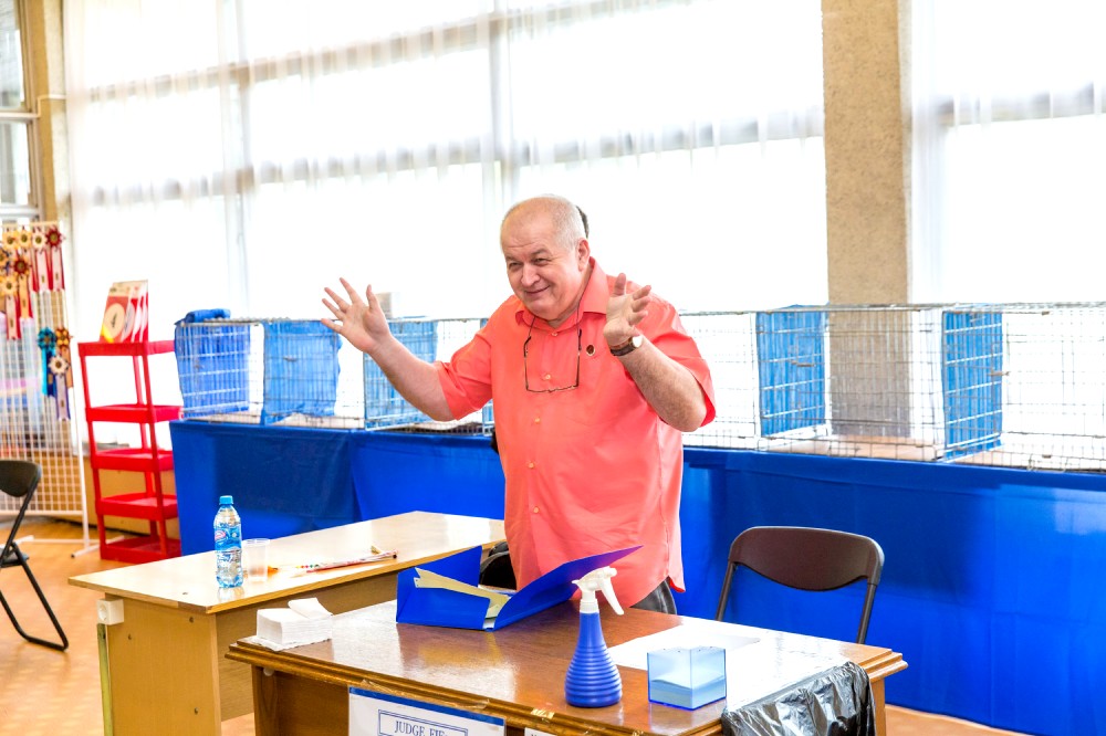 Выставка кошек 21-22 мая 2016 года город Новополоцк, Беларусь