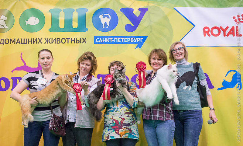 Выставка Зоошоу 2016