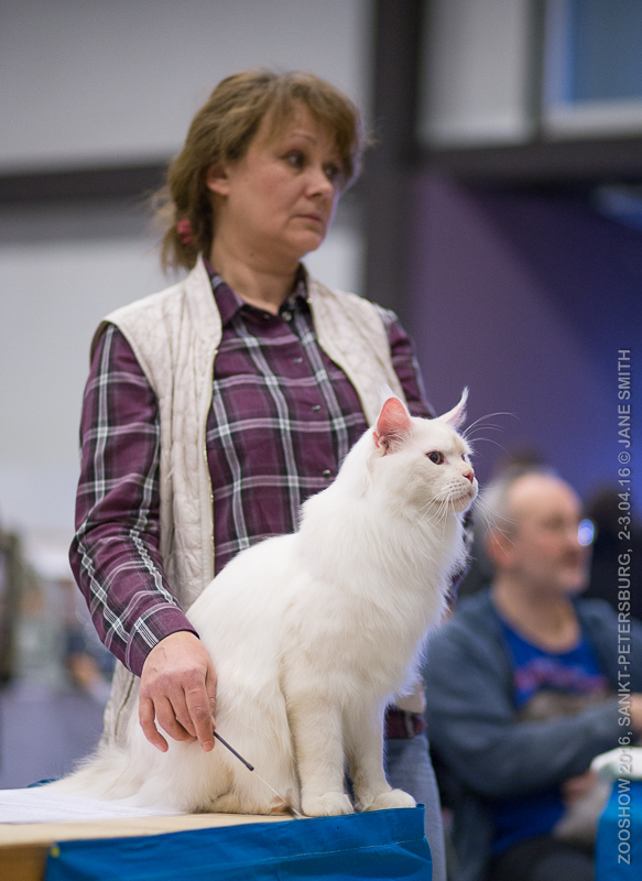 Выставка Зоошоу 2016