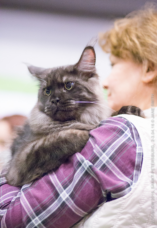 Выставка Зоошоу 2016